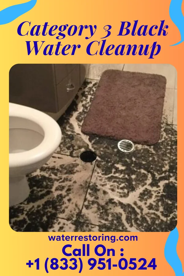 Category 3 Black Water Cleanup in Buffalo, WY