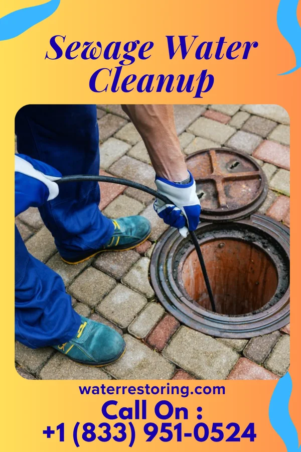 Sewage Water Cleanup in Buffalo, WY